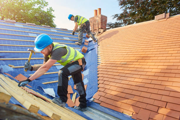Best Asphalt Shingle Roofing  in Rapid City, SD